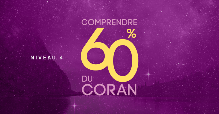 niveau 4